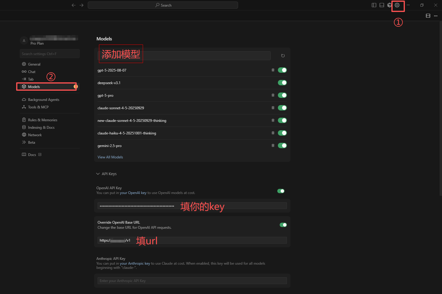 Cursor Models 配置示例